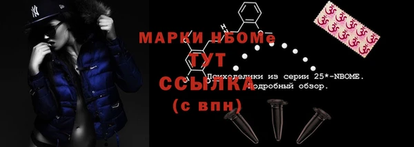 скорость Новозыбков
