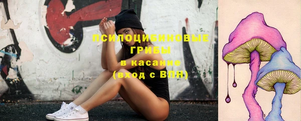 каннабис Алзамай