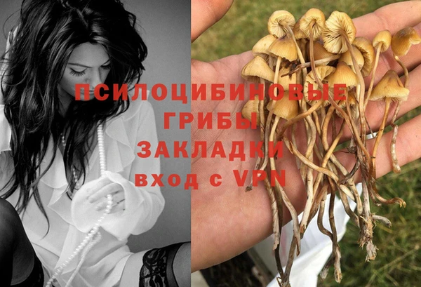 2c-b Навашино