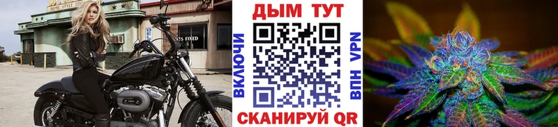 дарнет шоп mega как войти Шишки марихуана конопля Таруса